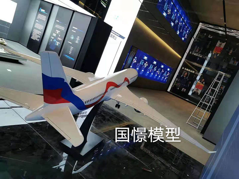 忻州飞机模型